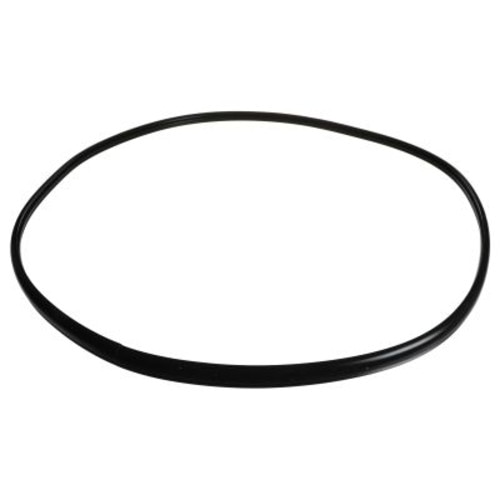 Q405966 Door Seal